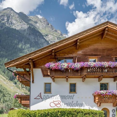 Appartement Breitlehn Λάνγκενφελντ Εξωτερικό φωτογραφία